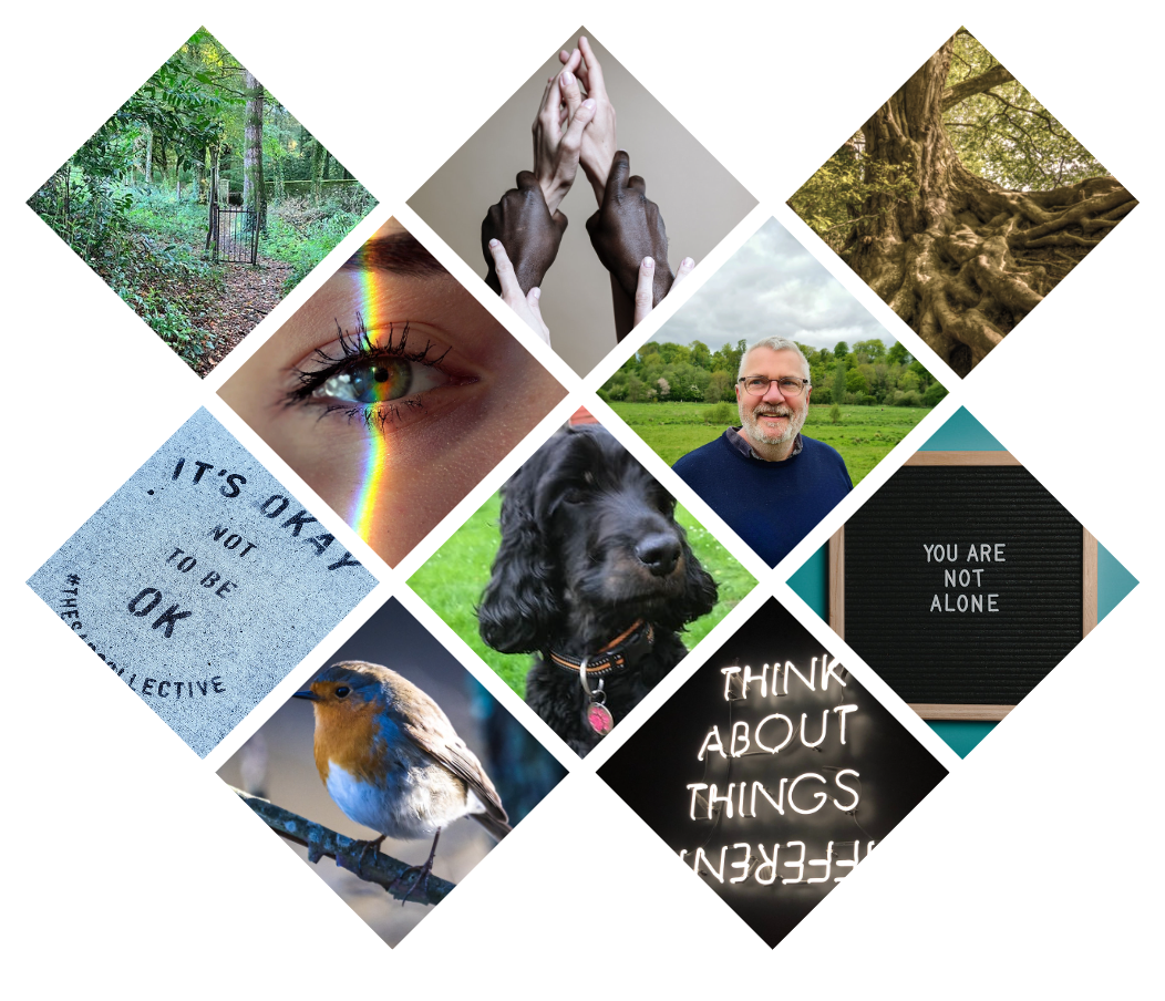 Raymond - A collage representing nature, connection, and therapeutic support
